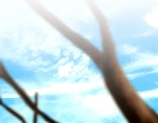 第211话 过路费 第160页