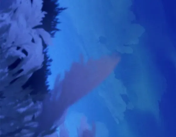 第211话 过路费 第233页