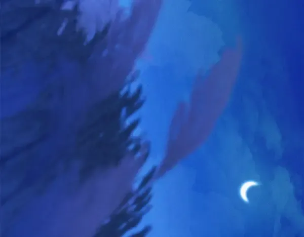 第211话 过路费 第234页
