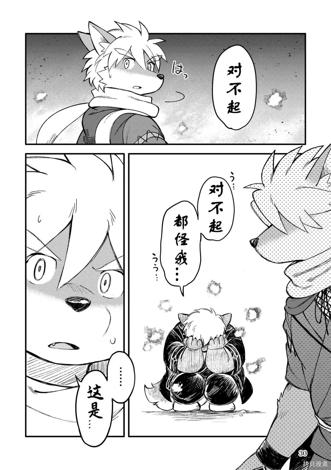 第11卷 第30页