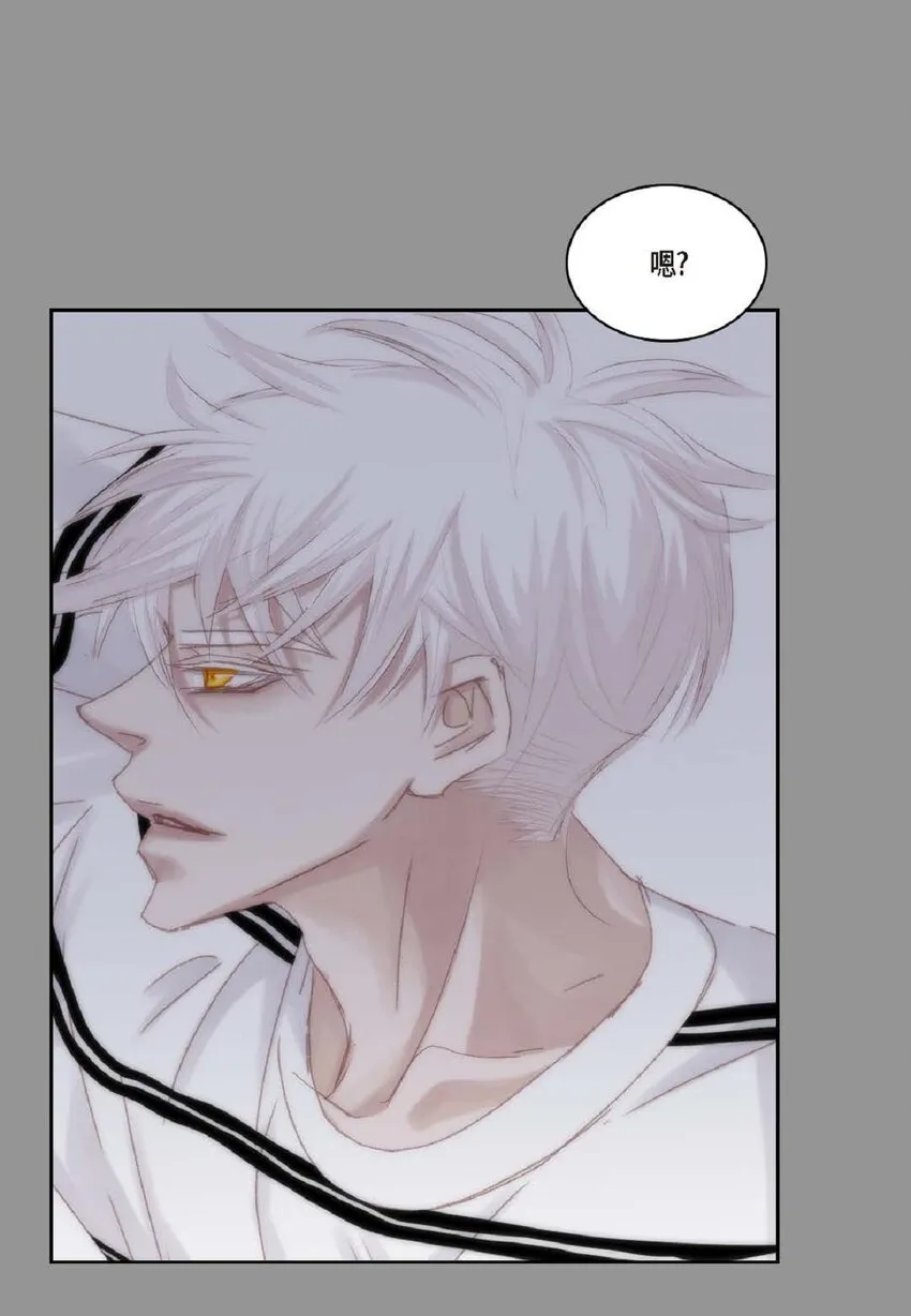 47 我才不会输！ 第64页