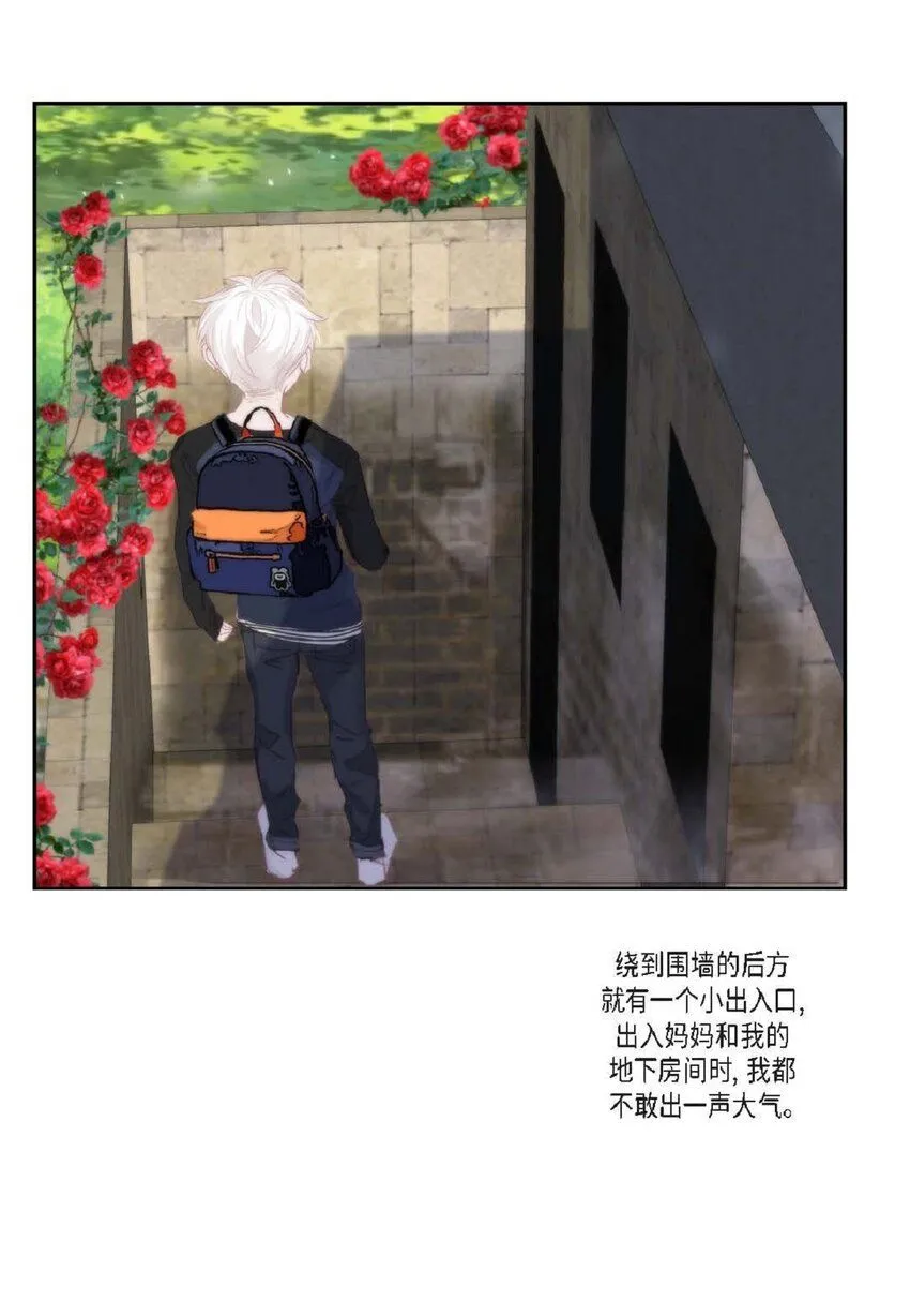 59 有宽敞草坪的大宅子 第11页