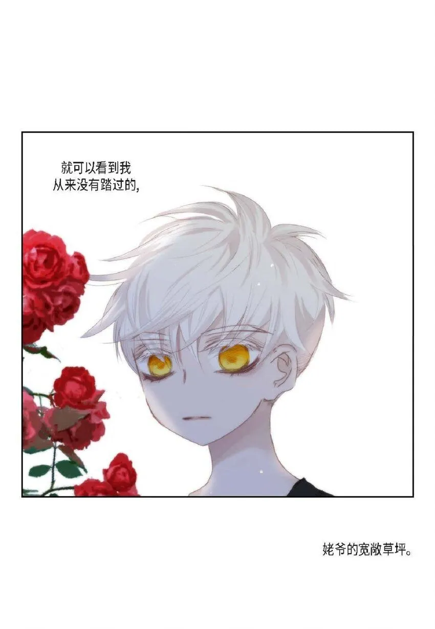 59 有宽敞草坪的大宅子 第13页