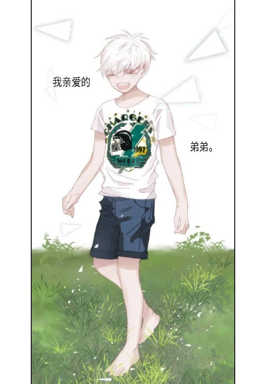 59 有宽敞草坪的大宅子 第20页
