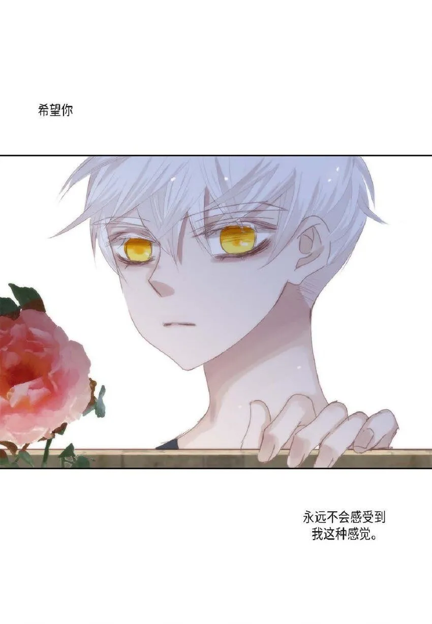 59 有宽敞草坪的大宅子 第21页