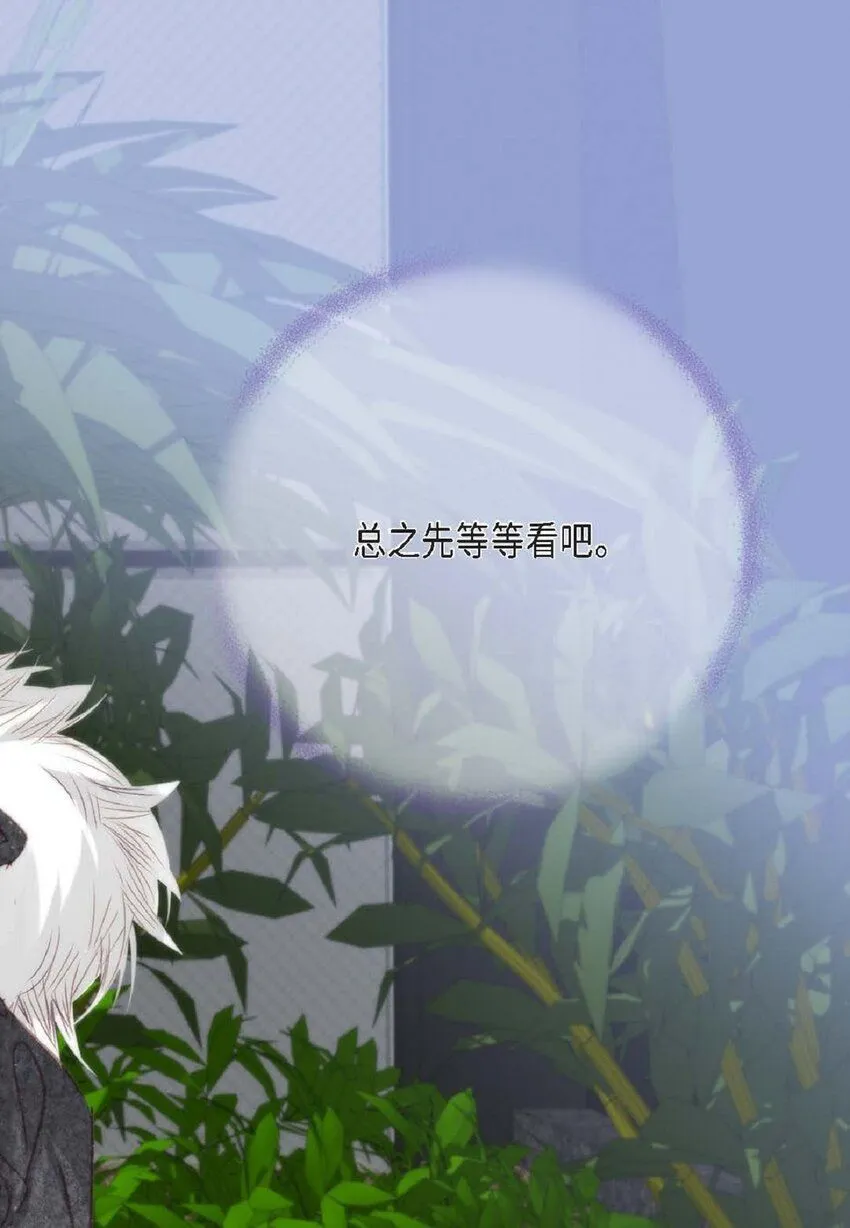 65 总之先等等看吧 第34页