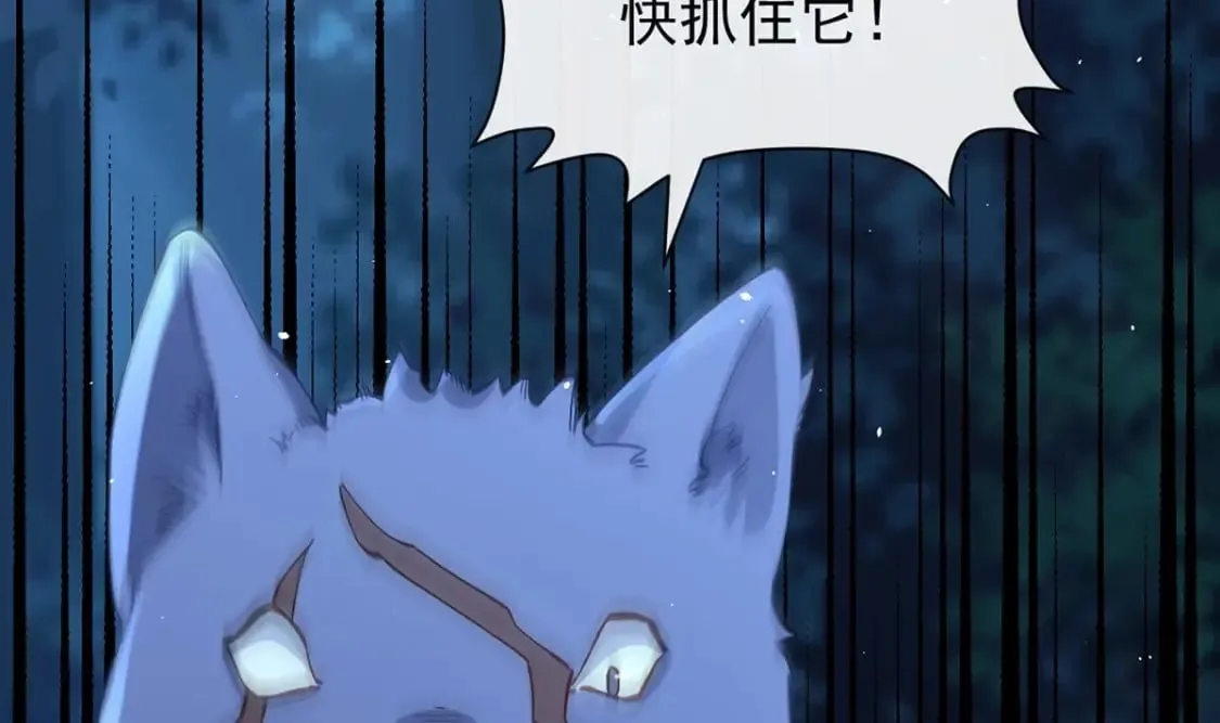 第四话-这狐狸救了我 第6页