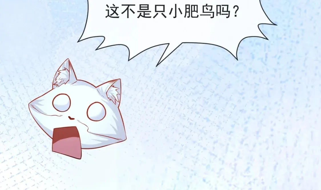 第三话-捡到一只小鸡仔 第41页