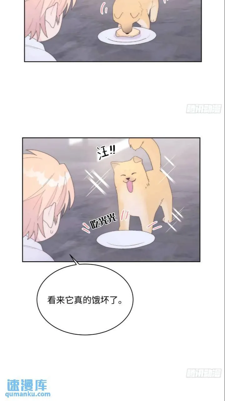 第20话 第17页