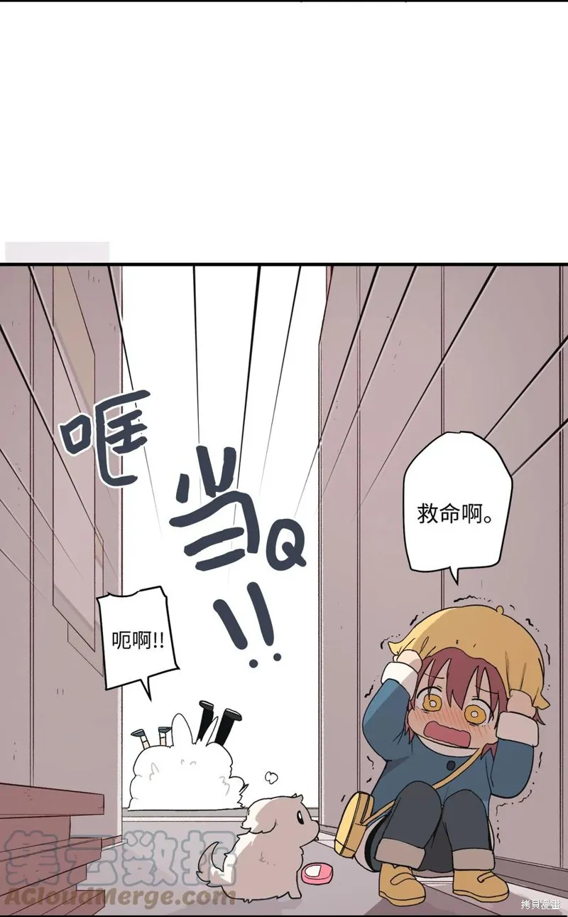 第81话 第46页