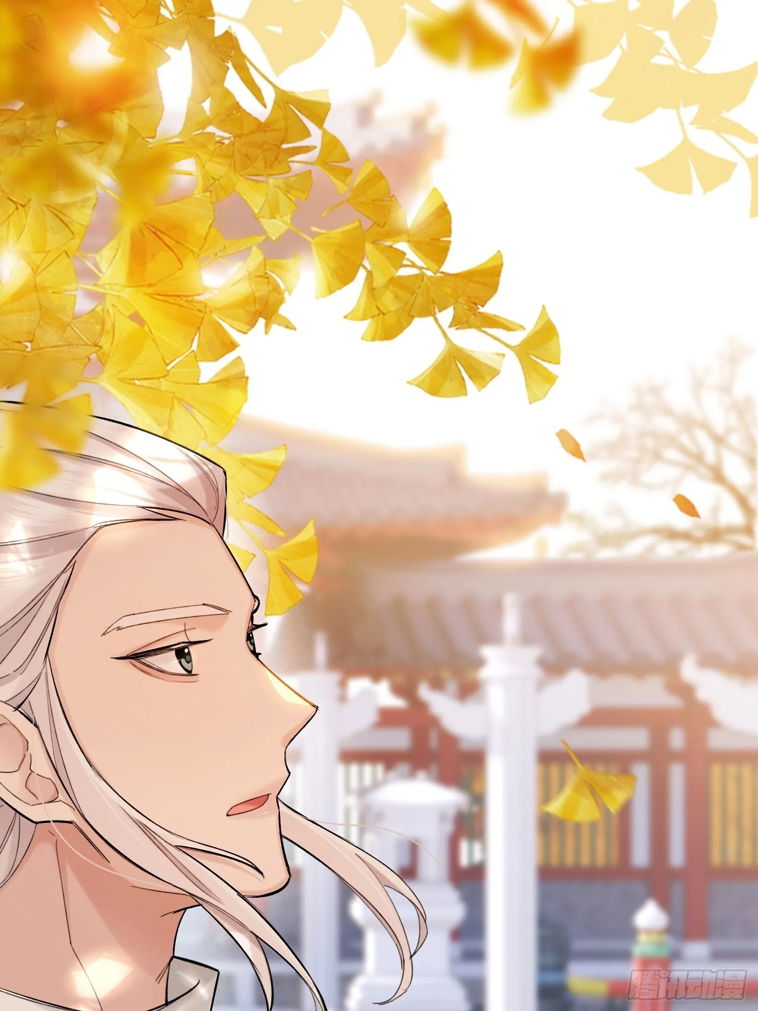 喜轿 第12页