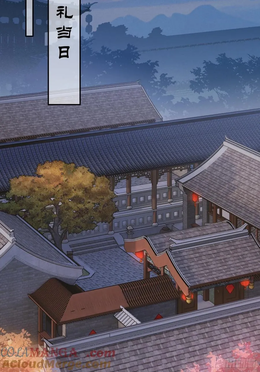 红盖头 第29页