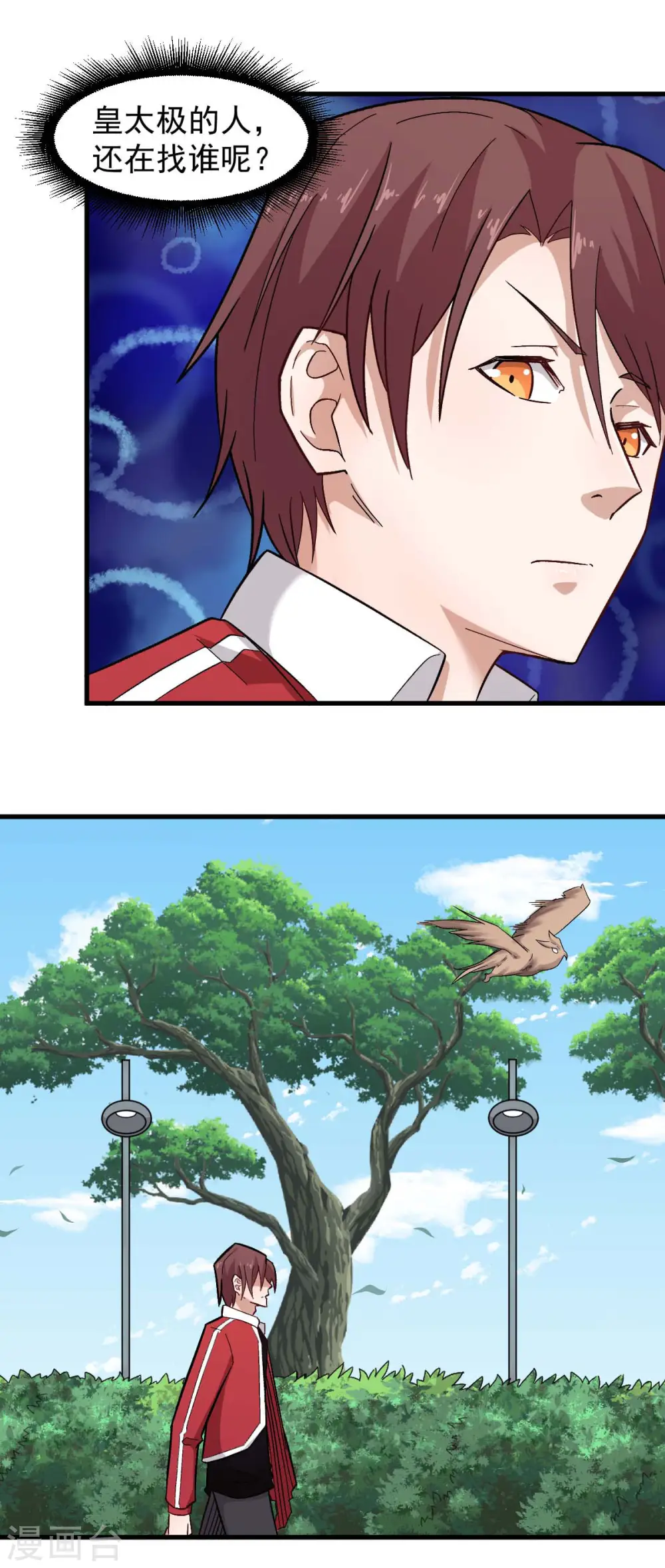 第219话 猫头鹰不是猫系？ 第13页