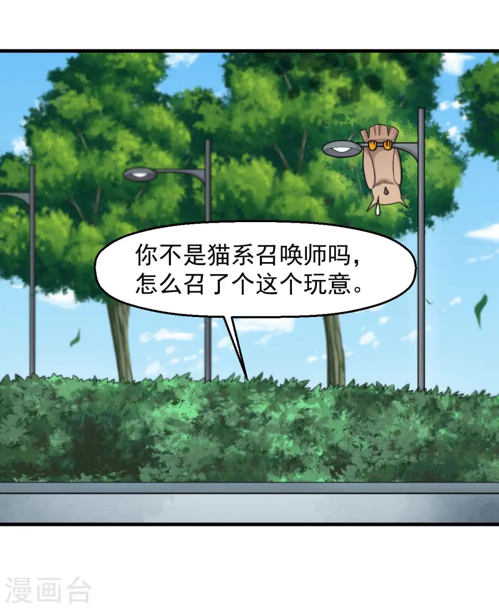 第219话 猫头鹰不是猫系？ 第17页