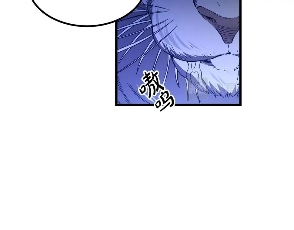 第38话 尘埃落定 第11页