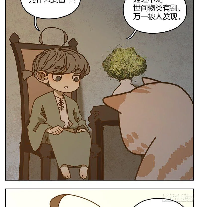 第41话 舐犊之情（五） 第37页