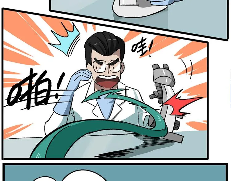 西城天高40 实验之后要洗手 第5页