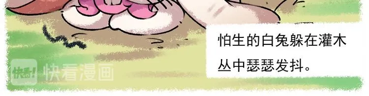 小红帽 1-雨蛙与白兔 第14页