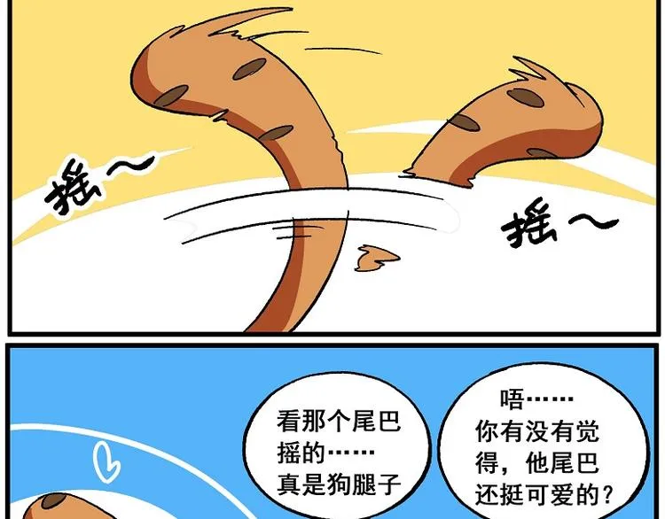 西城天高50 大鹏叫我来巡班 第11页