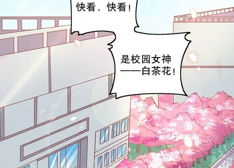 第2话 手撕绿茶 第2页
