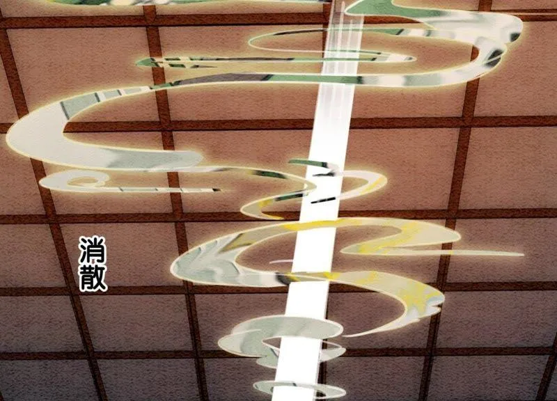 第22话 陈苗的夫人 第90页