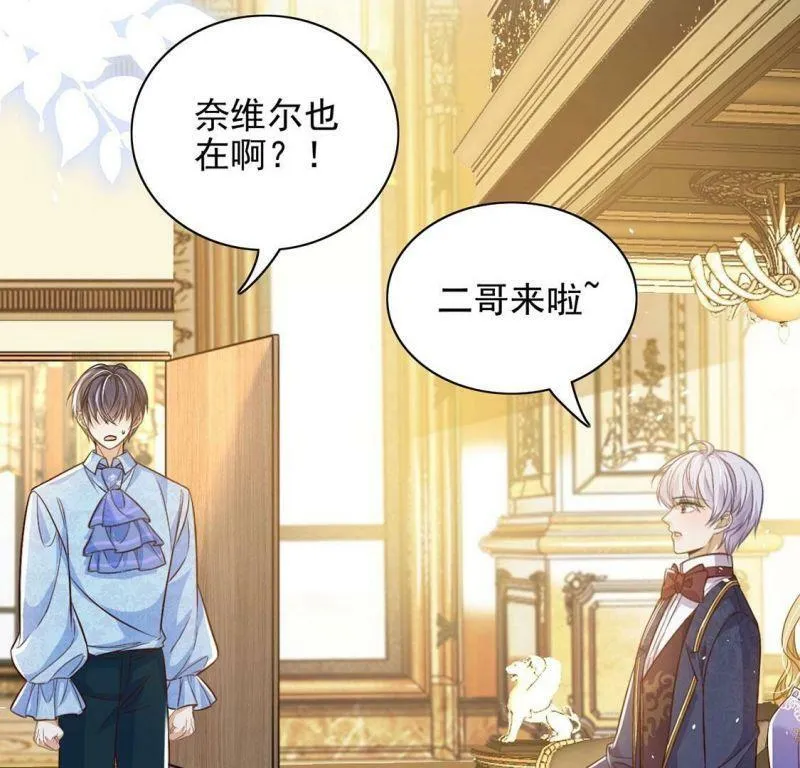 第79话 举行全国庆典 第41页