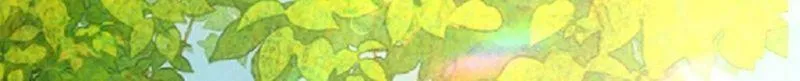 第76话 最珍视的人 第48页
