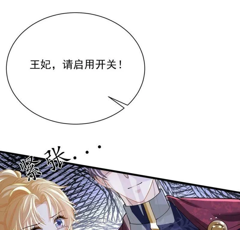 第71话 王妃启动开关 第67页