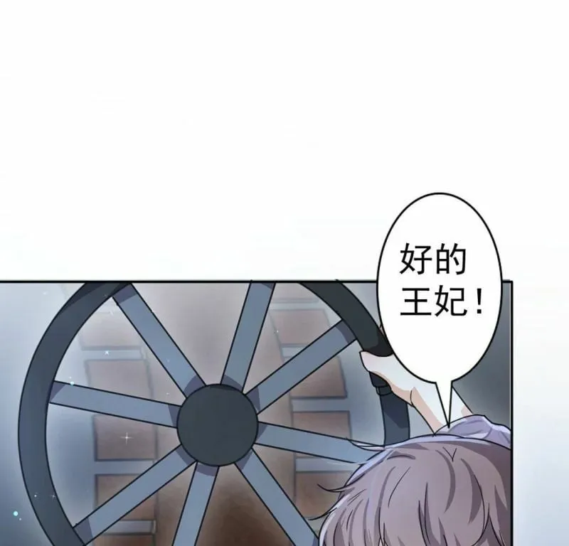 第34话 营救王妃 第20页
