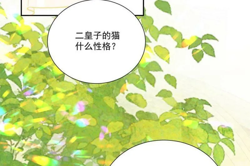 第10话 逗猫棒 第5页