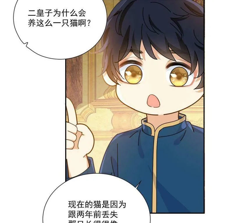 第10话 逗猫棒 第12页