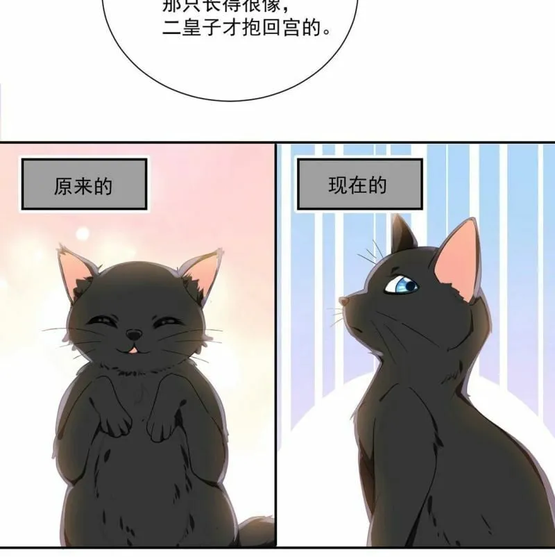 第10话 逗猫棒 第13页