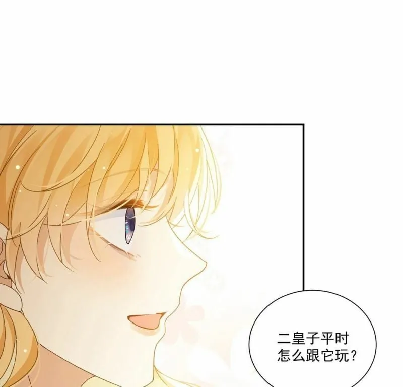 第10话 逗猫棒 第14页