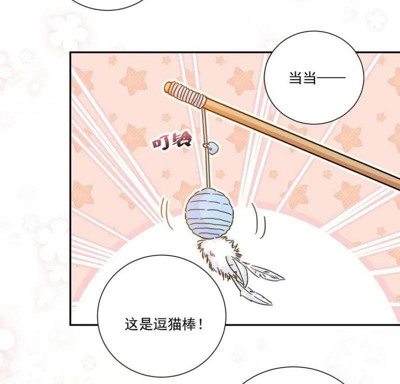 第10话 逗猫棒 第22页