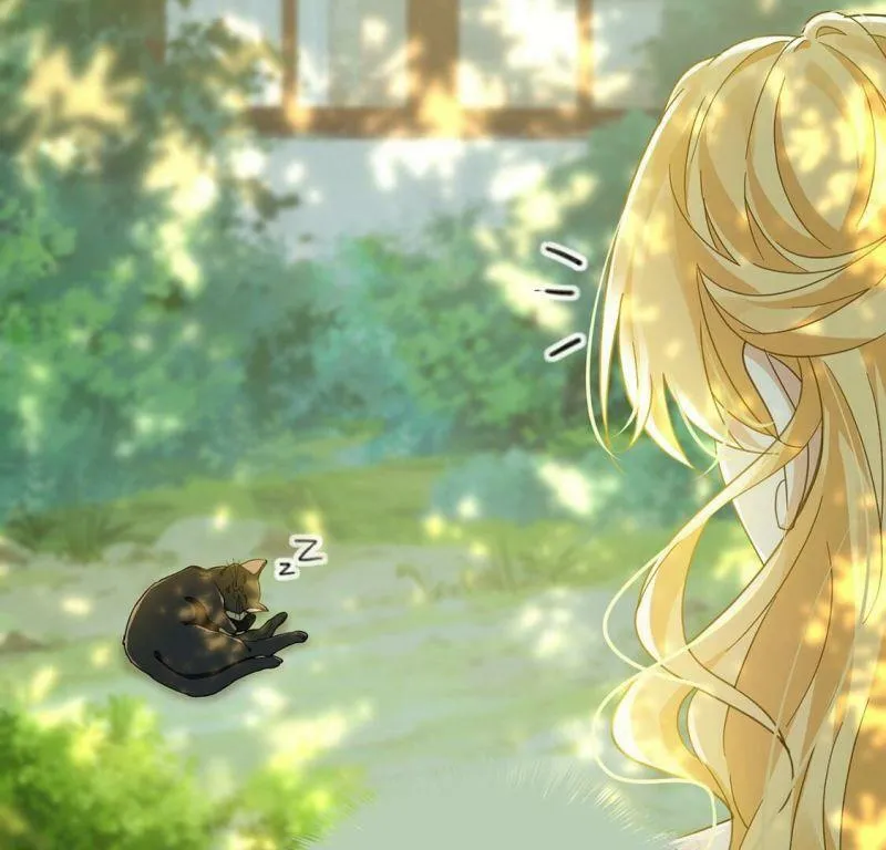 第10话 逗猫棒 第42页