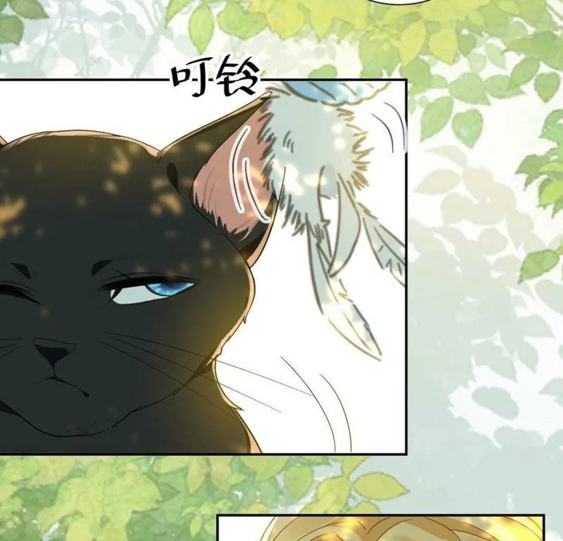 第10话 逗猫棒 第45页