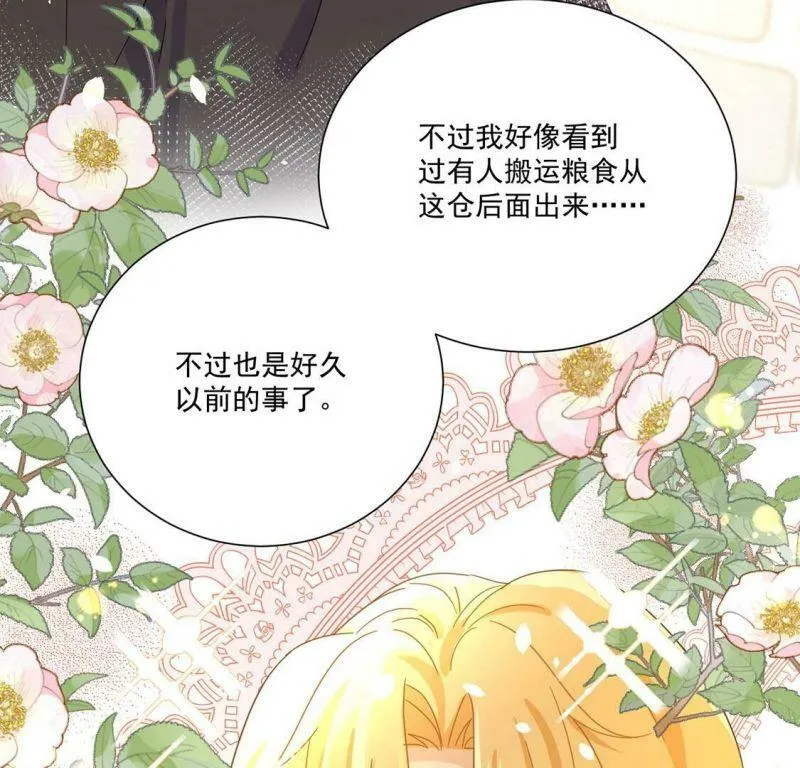 第3话 王妃智闯粮仓发现秘密 第29页