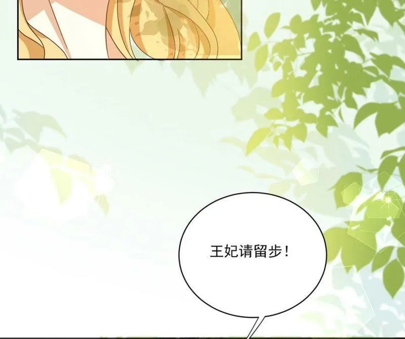 第2话 出格王妃是妖女？ 第13页