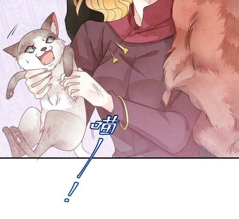第37话 颜雪的阴谋 第13页