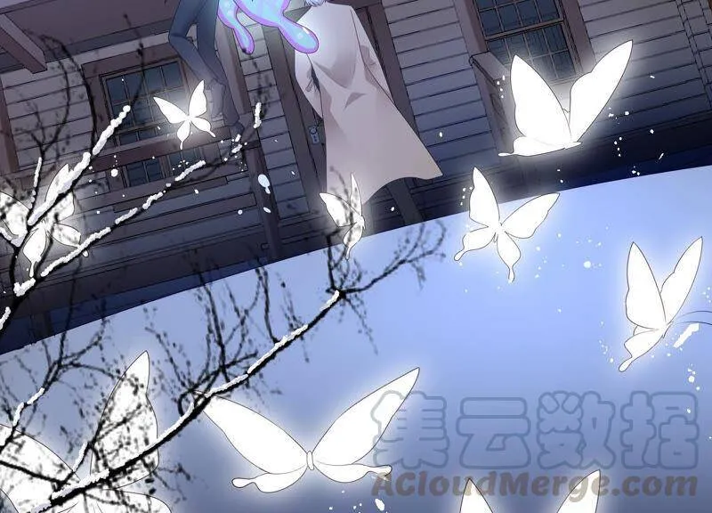 第76话 雪中的幻影 第31页