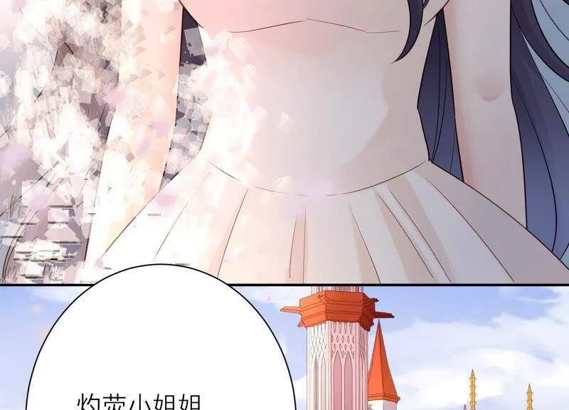 第53话 再见了，灼莹 第43页