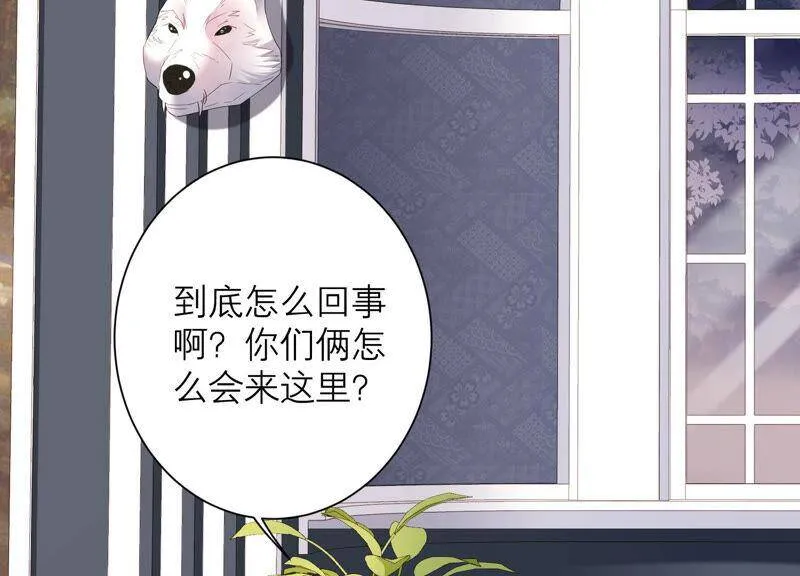 第46话 悄悄潜入 第42页