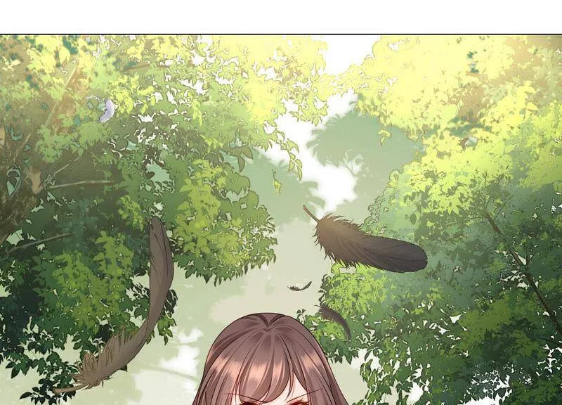 第40话 召唤我吧，灵儿 第46页