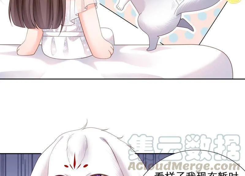第26话 假扮初尘子 第17页