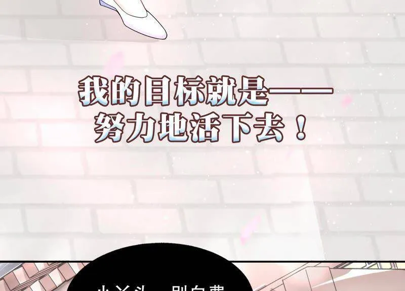 预告 第11页