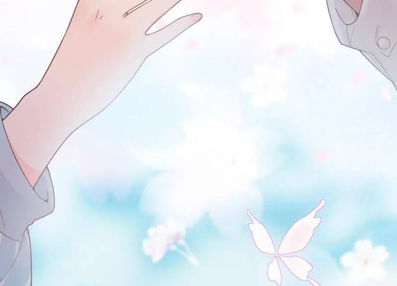 预告 第28页