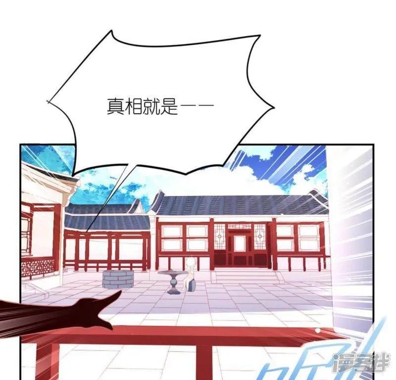 第24话 偷发大盗是狐狸？ 第1页