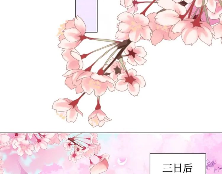 番外 同游花朝节 第11页