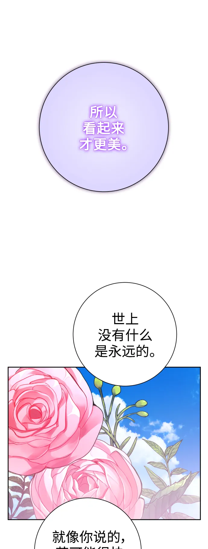 [第142话] 海利奥·特罗皮 第42页