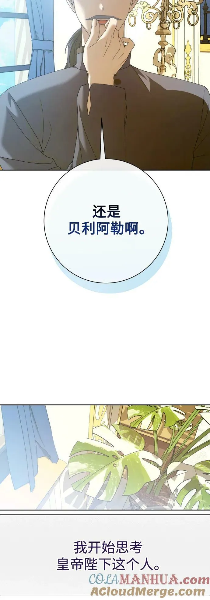 [第164话] 围捕青鹰（3） 第29页